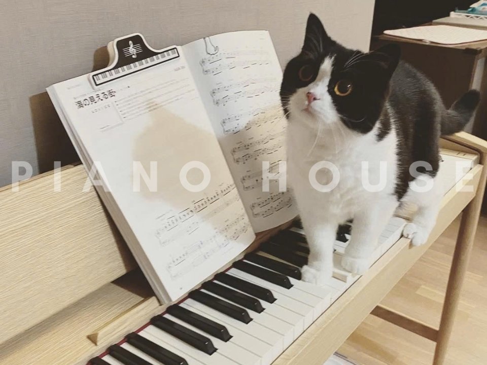 ROLAND KF-10 Kiyola PO (used) - Góc nhìn thực tế 6