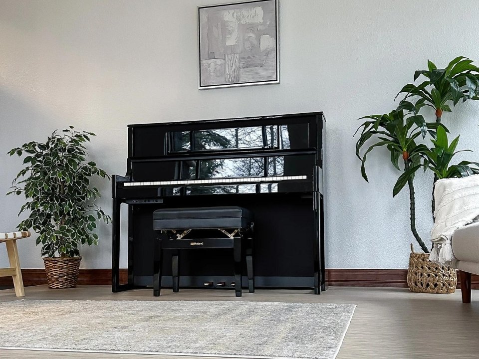 ROLAND LX-708 PE (New) - Ảnh thực tế 3