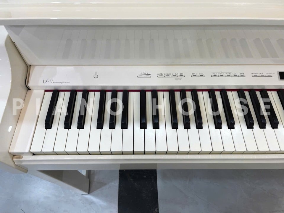 Chi tiết đàn ROLAND LX-17 WH - Hình 4