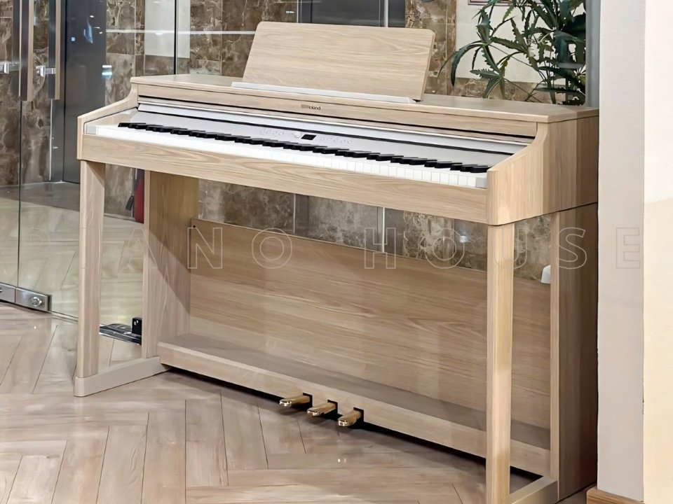 ROLAND RP-701 LO (USED) - Ảnh thực tế 3