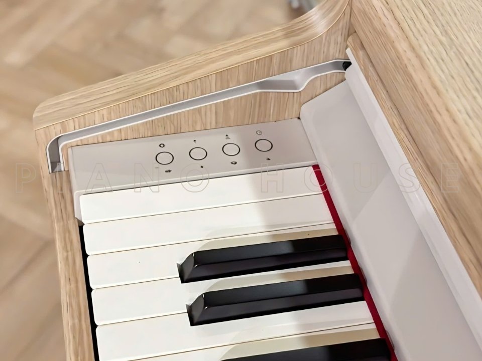 ROLAND RP-701 LO (USED) - Góc nhìn thực tế 6