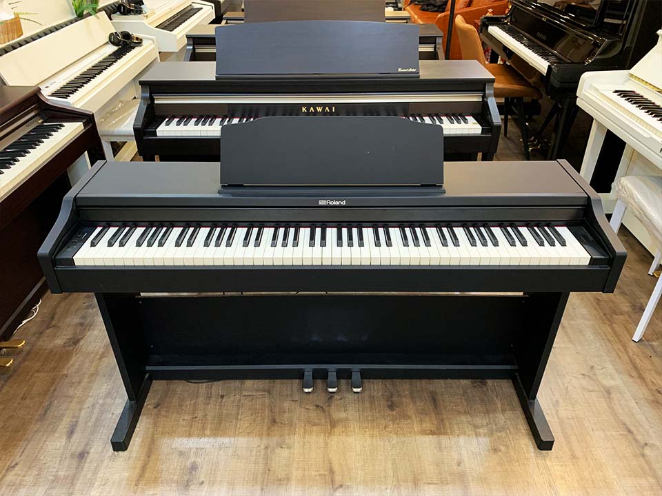 Hình ảnh chi tiết ROLAND RP-102 (Used) góc chụp 2