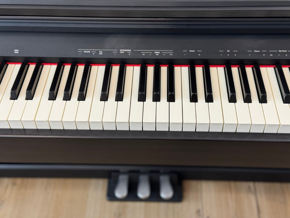 ROLAND RP-30 - Góc nhìn thực tế 6