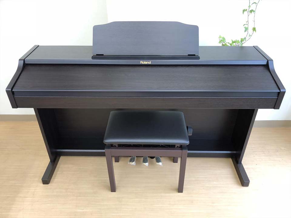 Hình ảnh chi tiết ROLAND RP-401 RW góc chụp 2