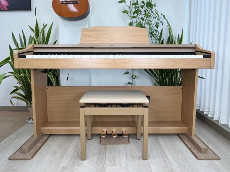 Hình ảnh chi tiết ROLAND RP-501R NBS góc chụp 2