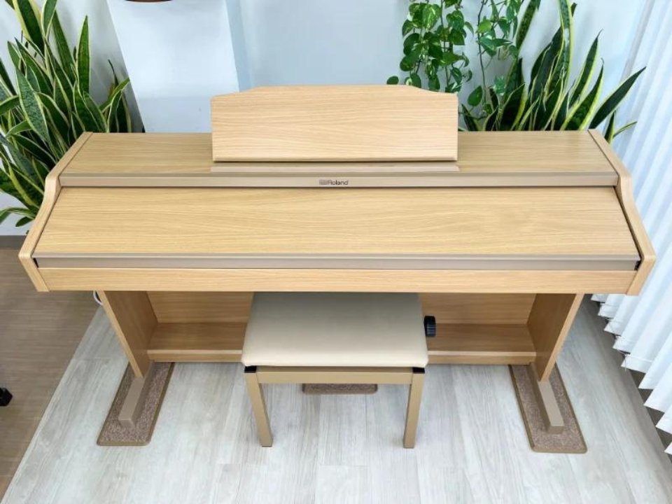 ROLAND RP-501R NBS - Ảnh thực tế 3