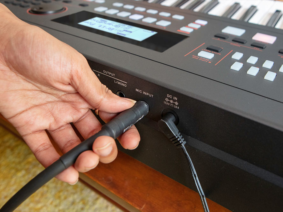 Chi tiết đàn Roland EX50 - Hình 4