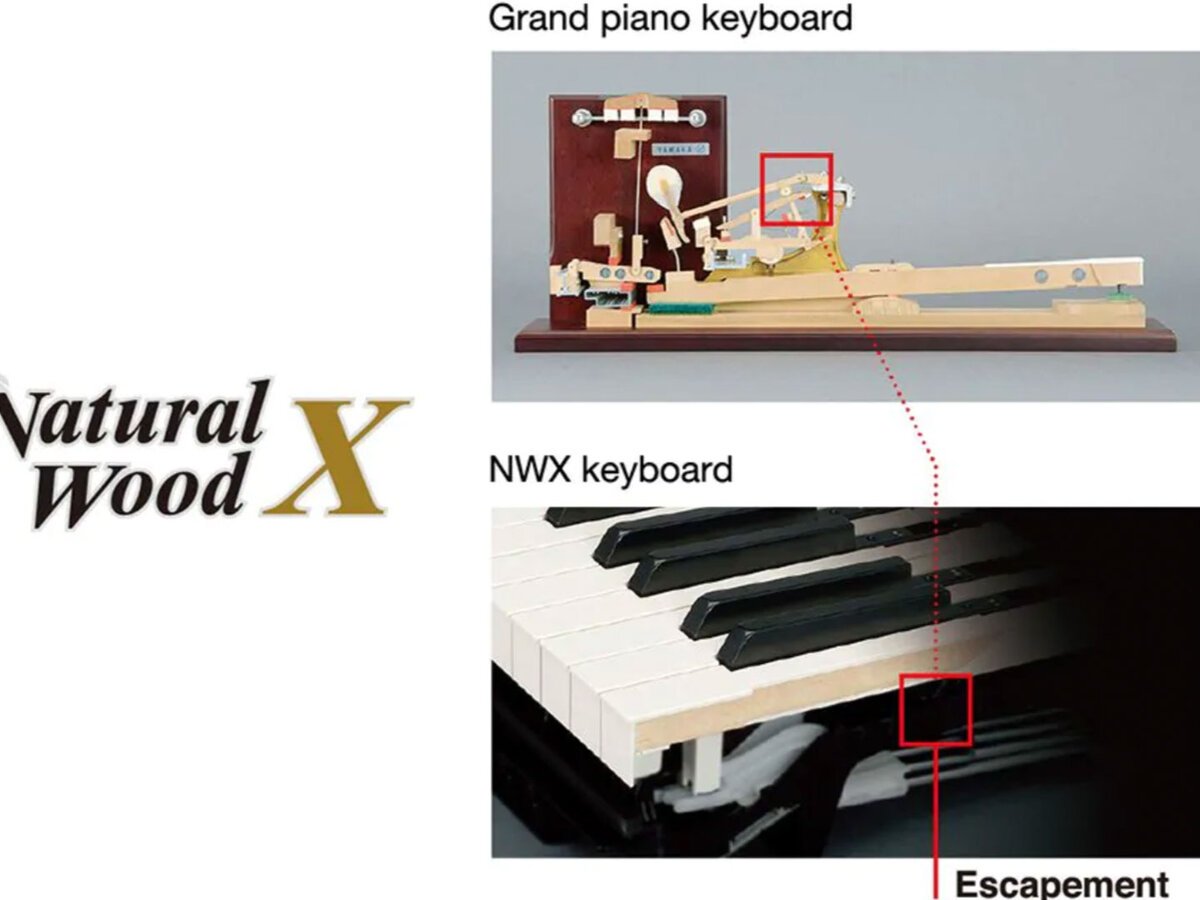 YAMAHA CLP-480 R - Góc nhìn thực tế 6