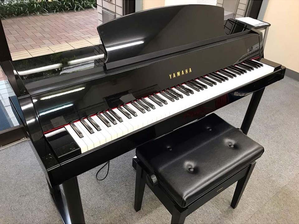 Mặt sau và cổng kết nối của YAMAHA DGP-5