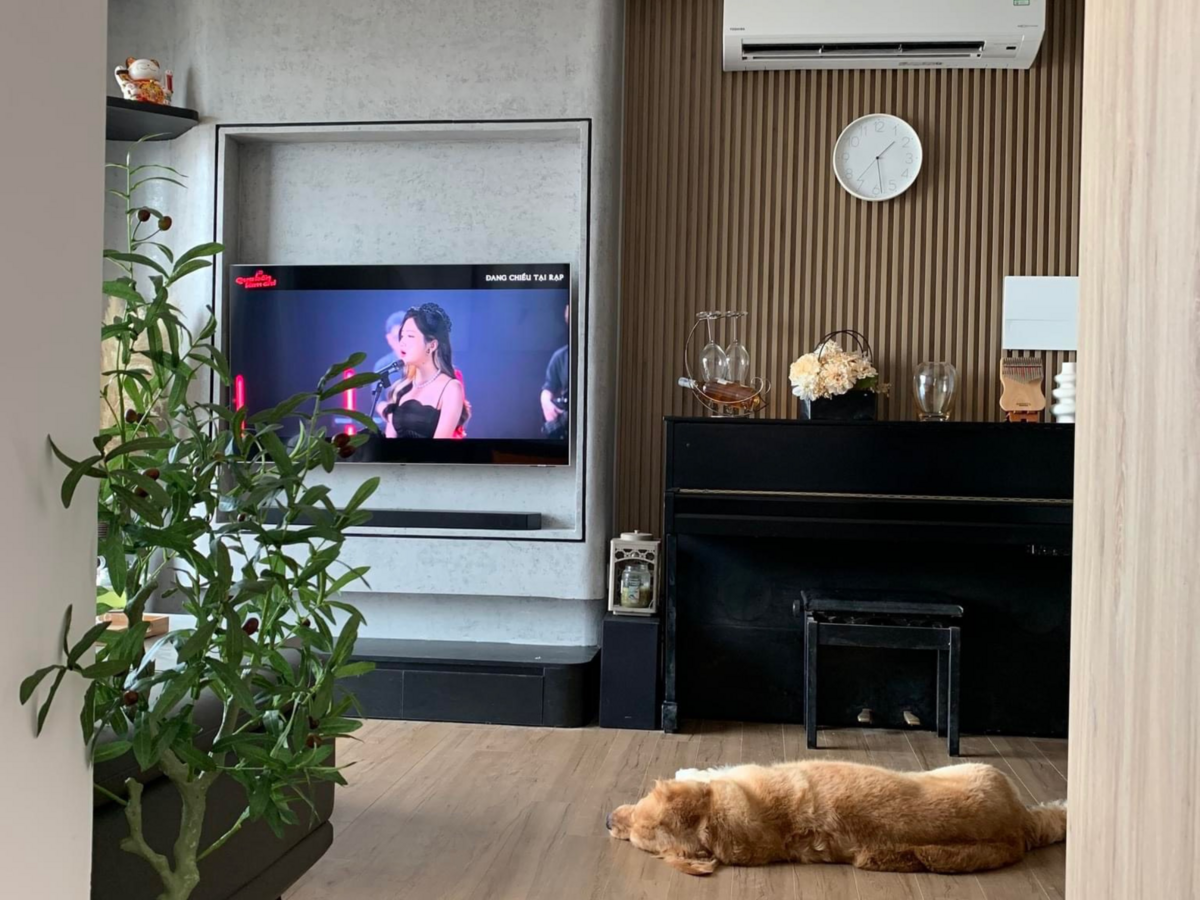 Hình ảnh chi tiết YAMAHA DUP-1 PE góc chụp 7