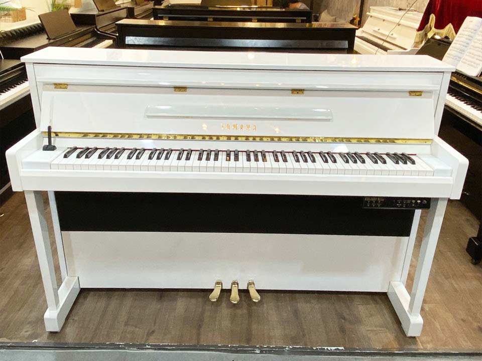 Hình ảnh chi tiết YAMAHA DUP-20 WH góc chụp 2
