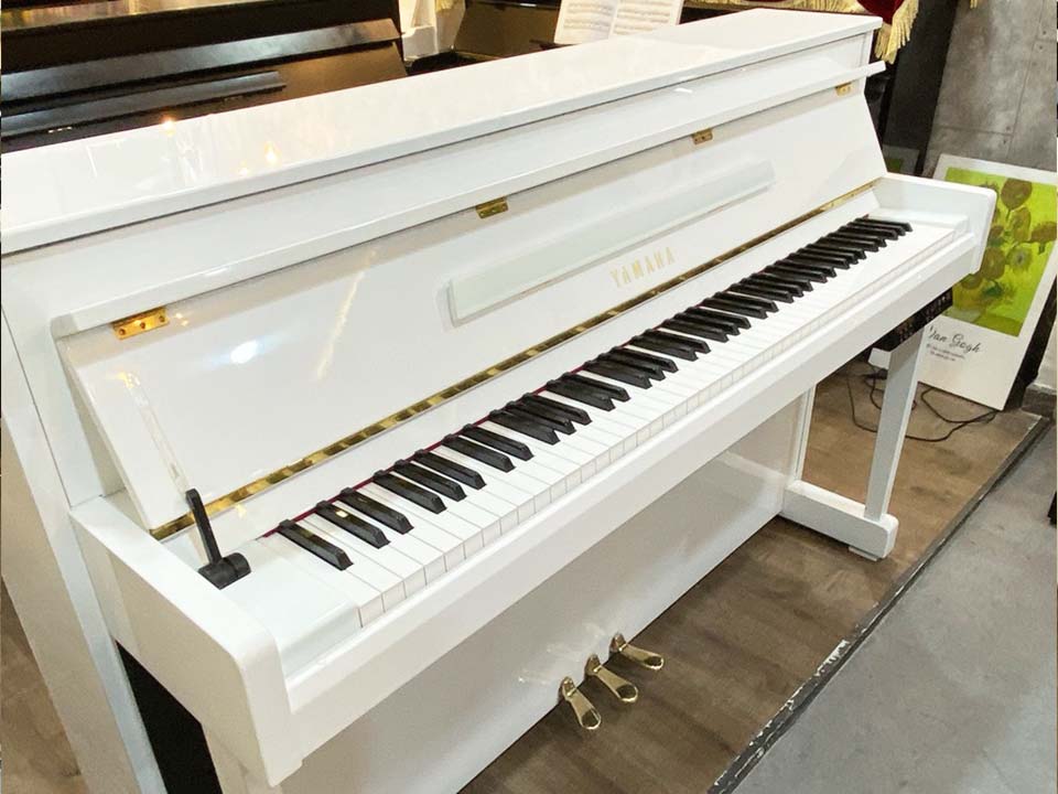 YAMAHA DUP-20 WH - Ảnh thực tế 3
