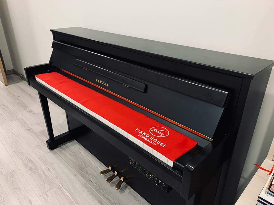 YAMAHA DUP-20 B trong không gian phòng khách