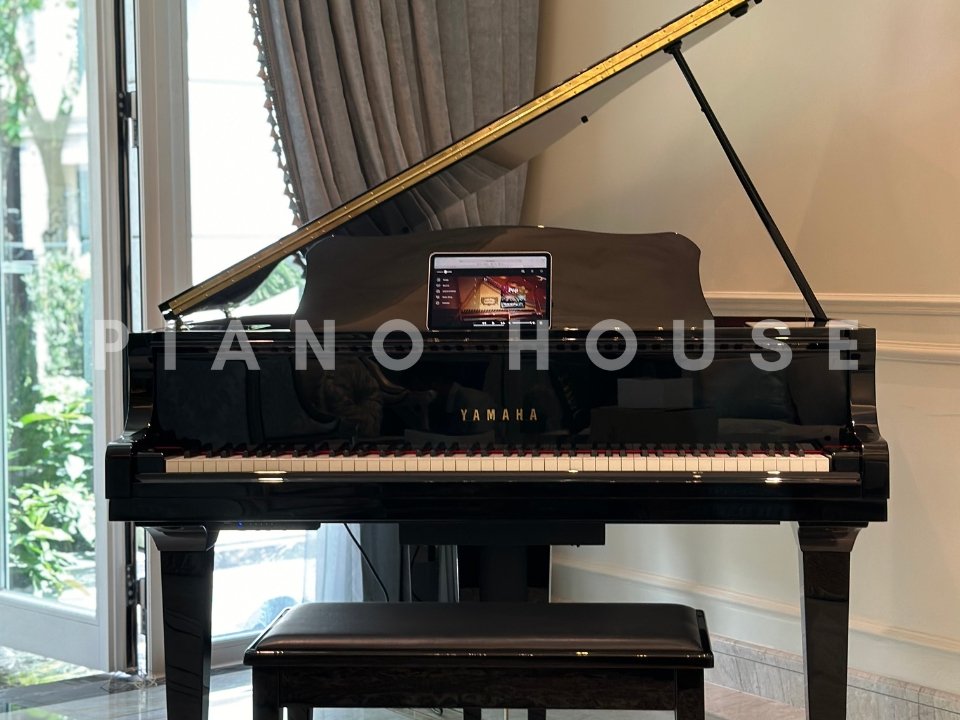 Chi tiết đàn YAMAHA DGB1K ESNT PE - Hình 4