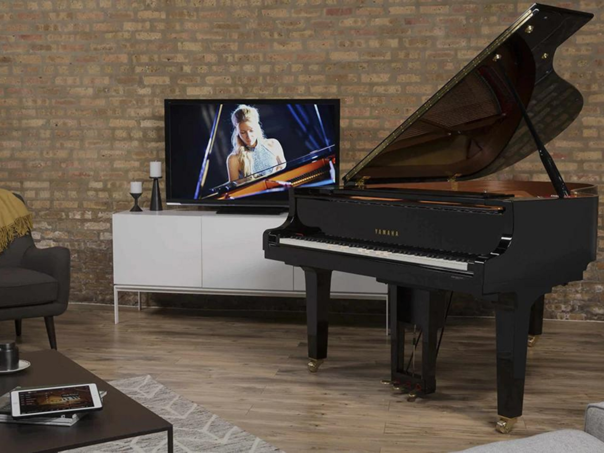 Hình ảnh chi tiết YAMAHA DGC1 ESNT PE góc chụp 7