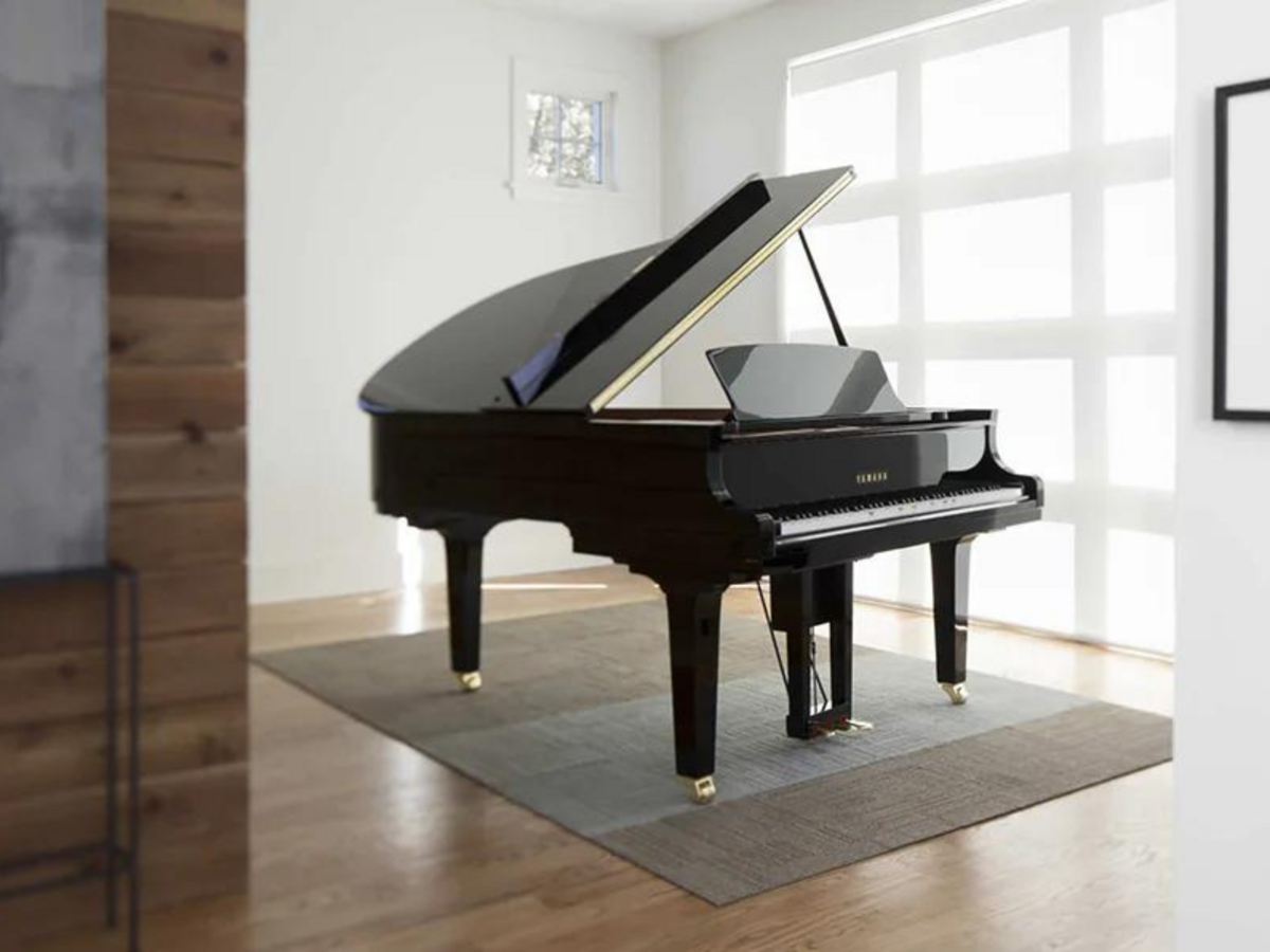 Hình ảnh chi tiết YAMAHA DGC2 ESNT PE góc chụp 2