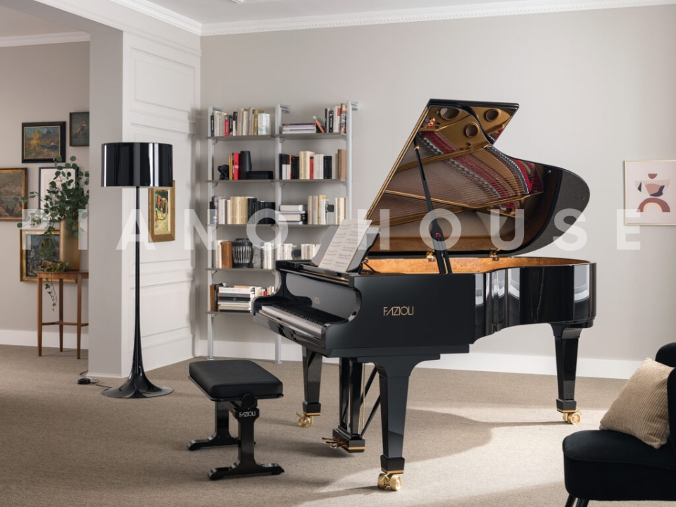 Fazioli F198 - Concert Baby Grand