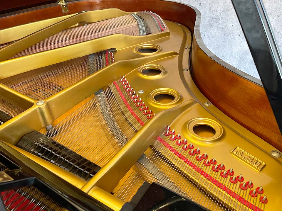 Hình ảnh chi tiết APOLLO A30 SM góc chụp 2