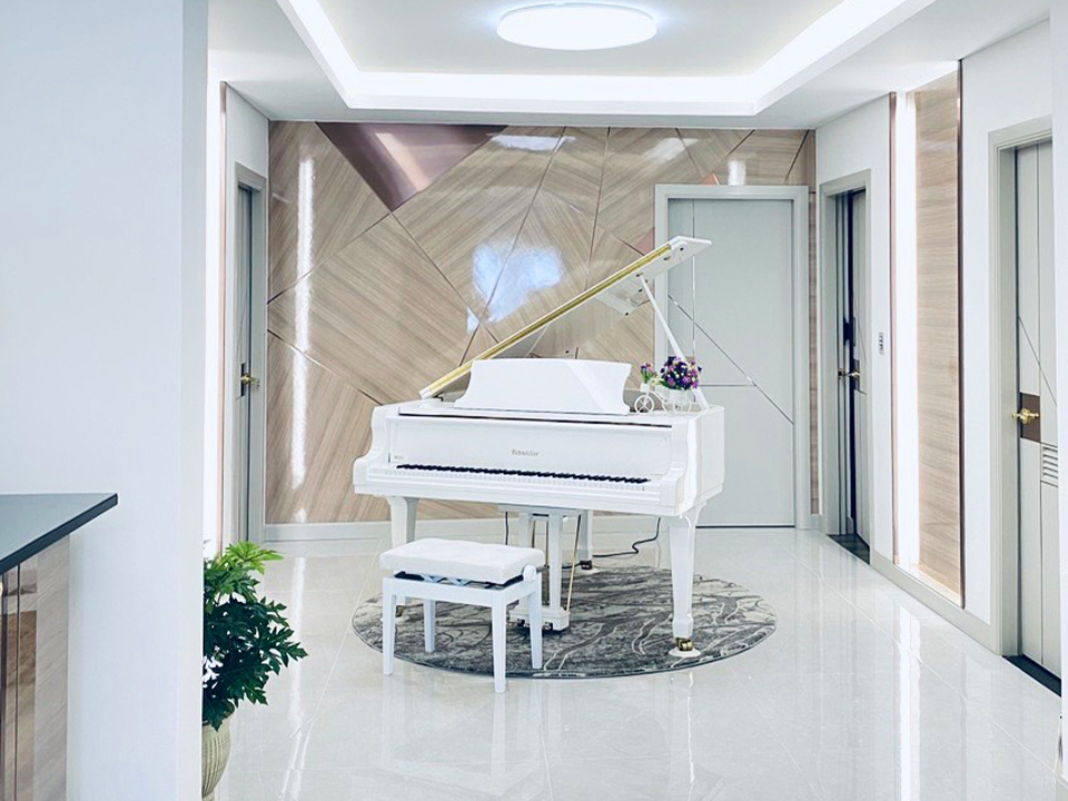 Ritmuller GDRS160 (+Piano Disc)