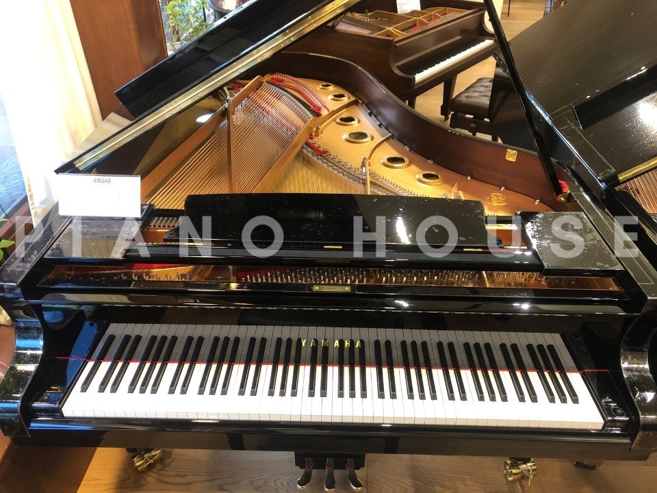Hình ảnh chi tiết YAMAHA S6X góc chụp 2