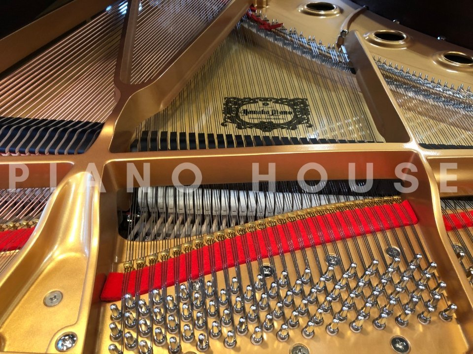 Hình ảnh chi tiết YAMAHA S6X góc chụp 7