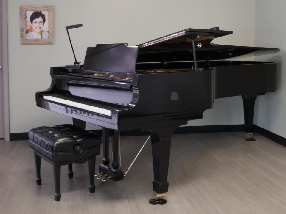 KAWAI KG-8C - Ảnh thực tế 3