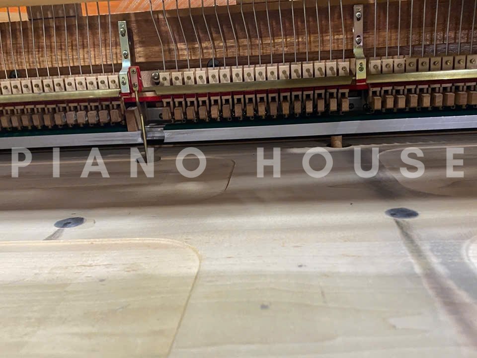 Hình ảnh chi tiết KAWAI KG-1E PE góc chụp 7