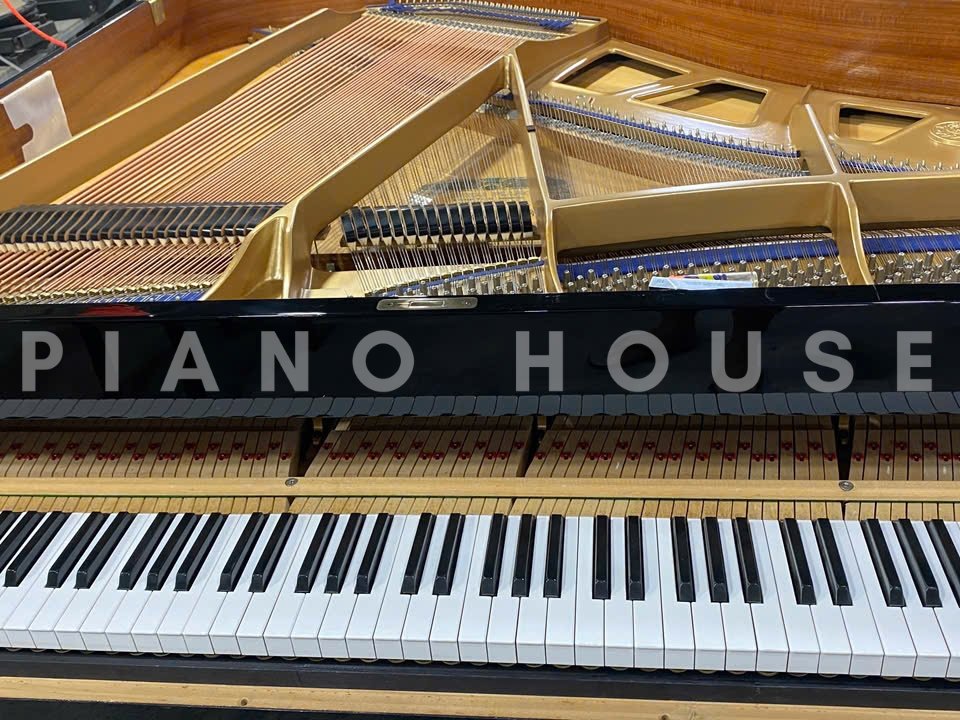 Hình ảnh chi tiết KAWAI KG-1E PE góc chụp 2