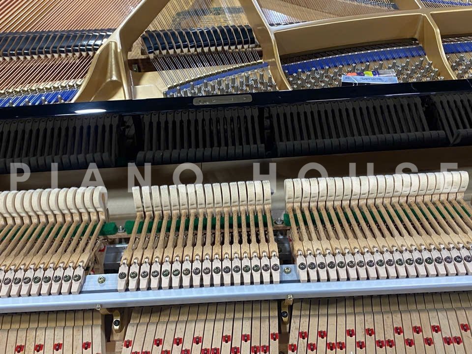 KAWAI KG-1E PE - Ảnh thực tế 3