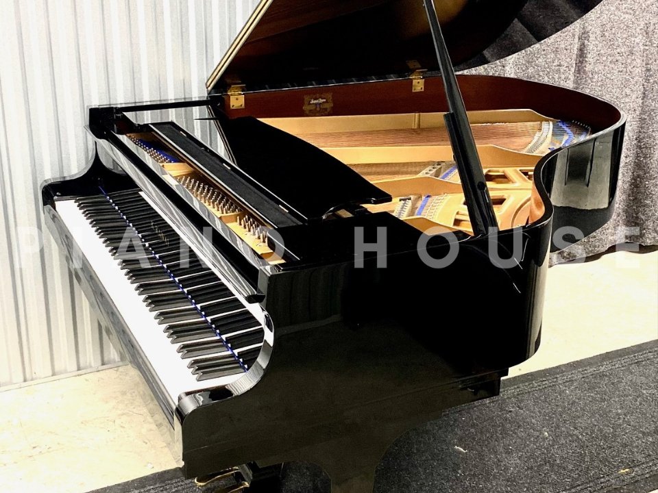 KAWAI KG-2E PE - Ảnh thực tế 3