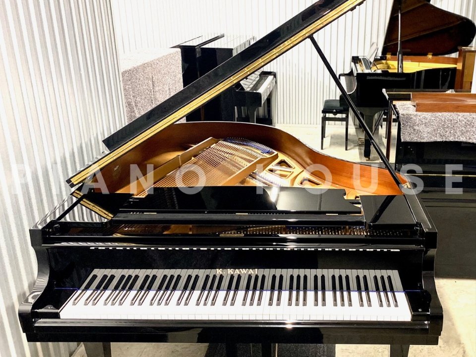 Chi tiết đàn KAWAI KG-2E PE - Hình 4