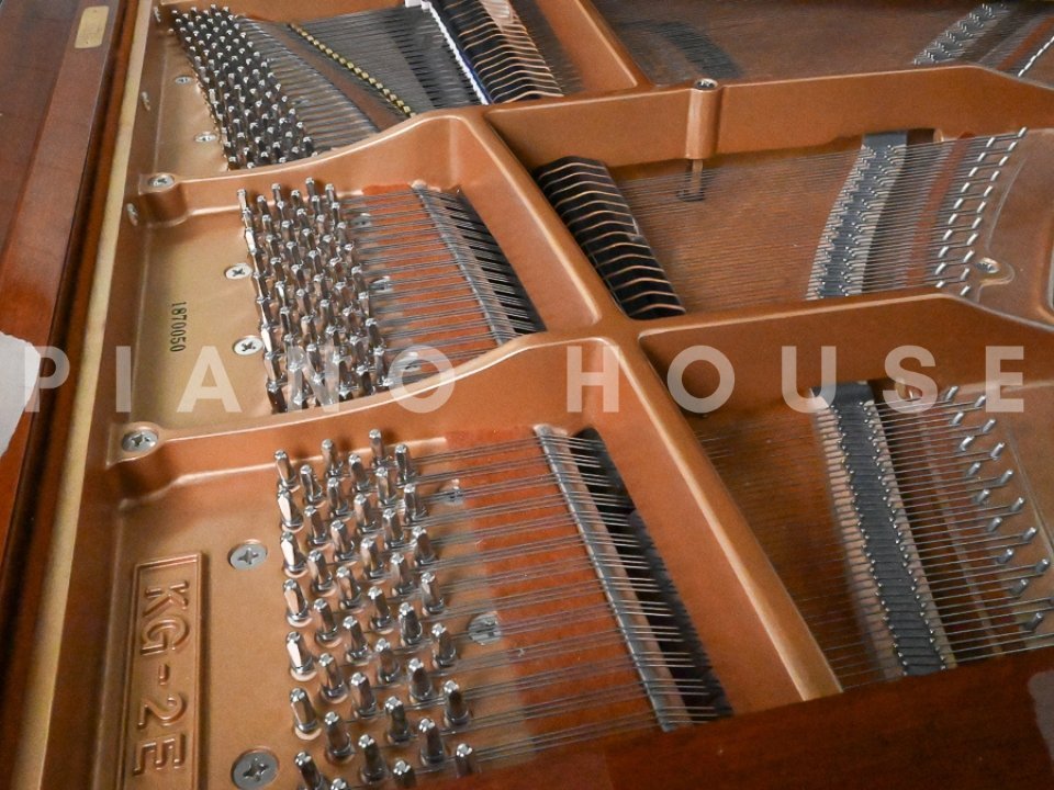 KAWAI KG-2E PM - Góc nhìn thực tế 6