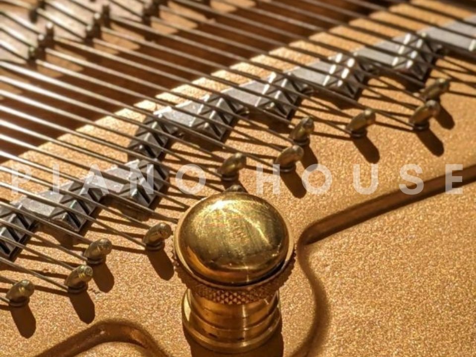 KAWAI KG-3N - Góc nhìn thực tế 6