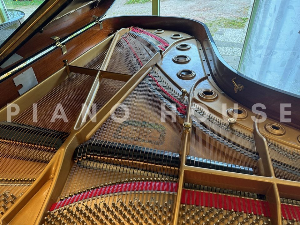 Hình ảnh chi tiết KAWAI KG-6 góc chụp 2