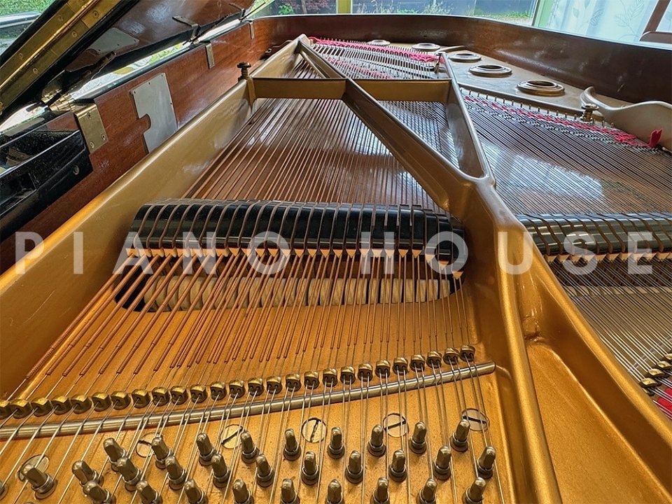 KAWAI KG-6 - Ảnh thực tế 3