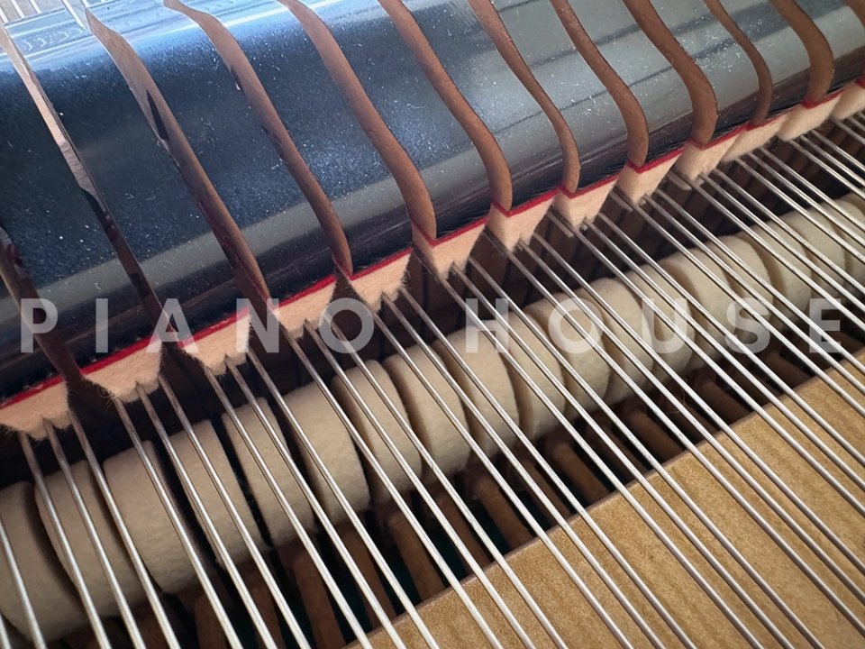 KAWAI KG-6 - Góc nhìn thực tế 6