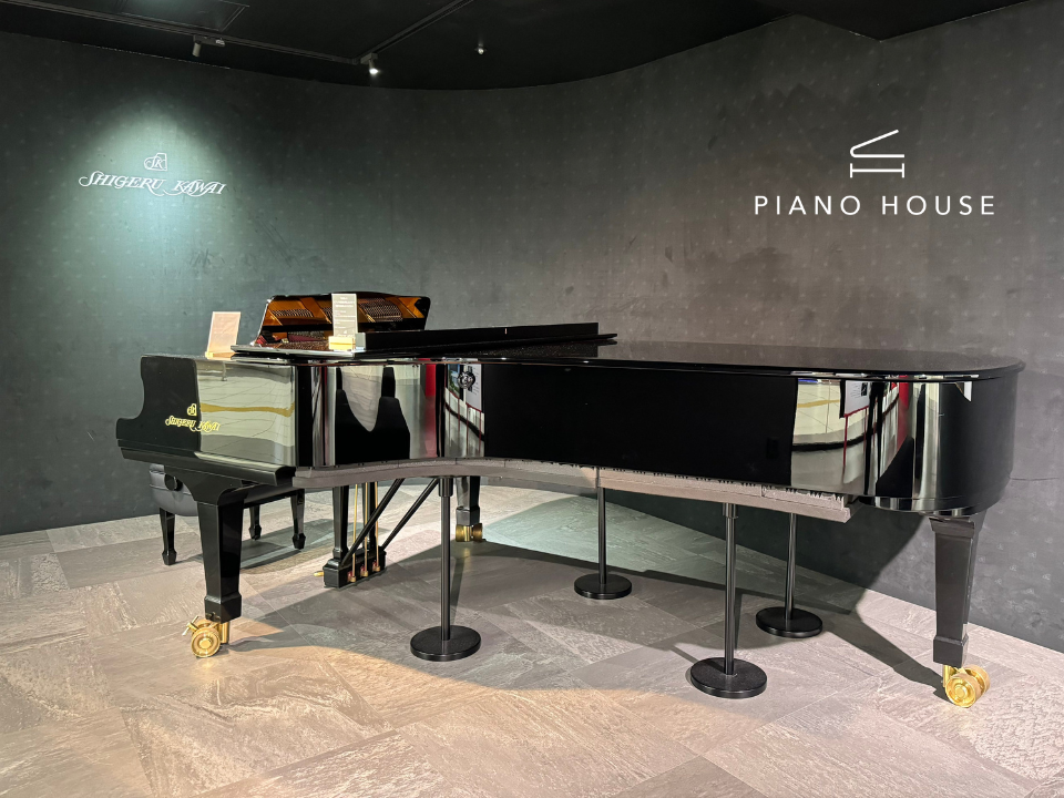 Hình ảnh minh họa cấu trúc bên trong Shigeru Kawai SK-EX