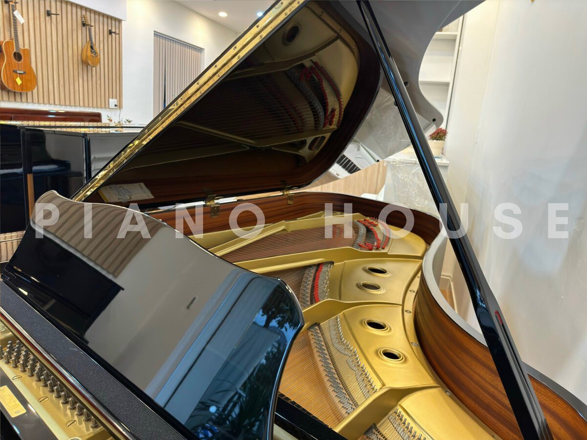 YAMAHA C7 Seri 3.3 - Ảnh thực tế 3