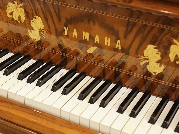 YAMAHA CC Emperor - Ảnh thực tế 3