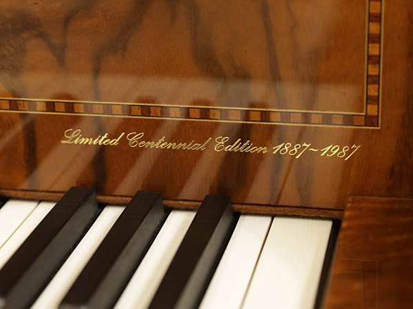 Chi tiết đàn YAMAHA CC Emperor - Hình 4
