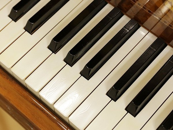 Cận cảnh YAMAHA CC Emperor tại Piano House