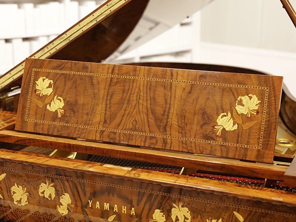 Hình ảnh chi tiết YAMAHA CC Emperor góc chụp 7