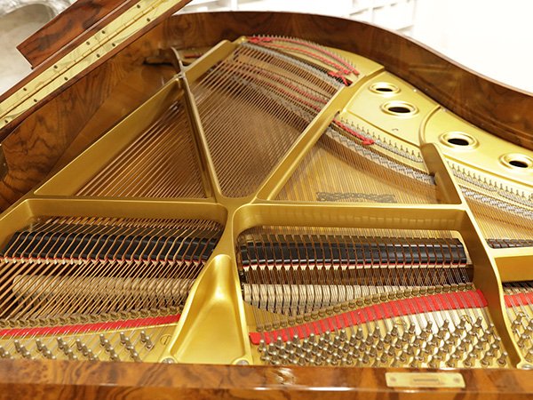 YAMAHA CC Emperor - Ảnh thực tế 8