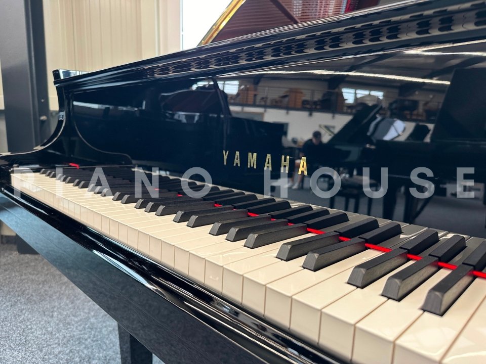 YAMAHA C1X (USED) - Ảnh thực tế 3