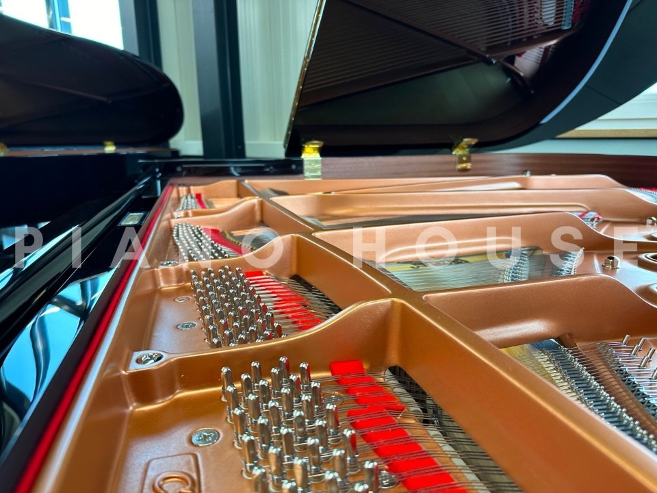 Hình ảnh chi tiết YAMAHA C1X (USED) góc chụp 7