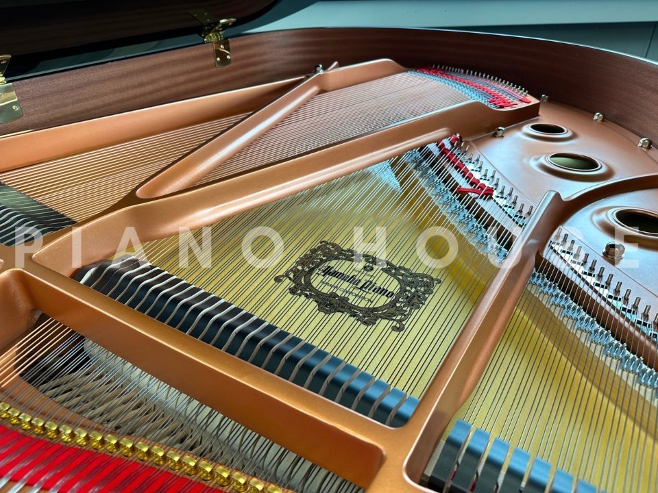 YAMAHA C1X (USED) - Góc nhìn thực tế 6