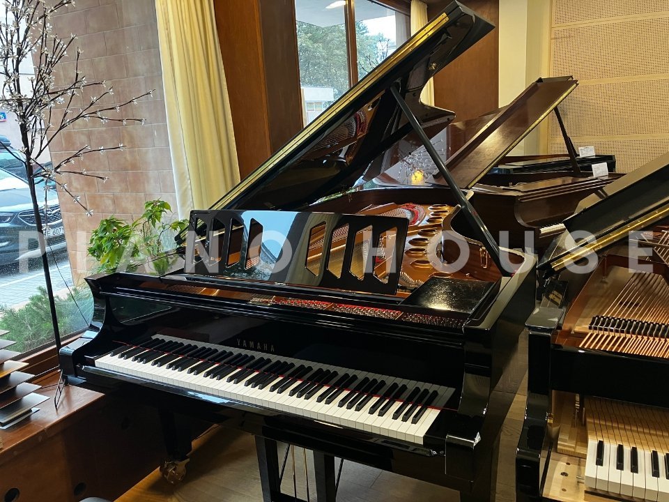 Hình ảnh chi tiết YAMAHA CFX (Next Generation) góc chụp 2