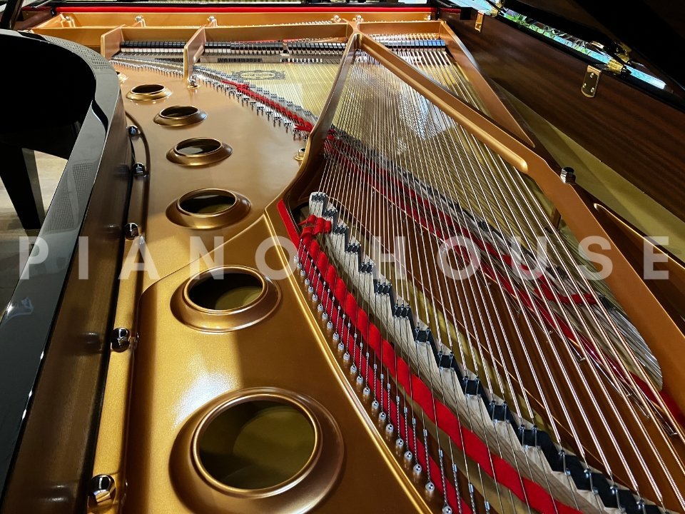 YAMAHA CFX (Next Generation) - Ảnh thực tế 8