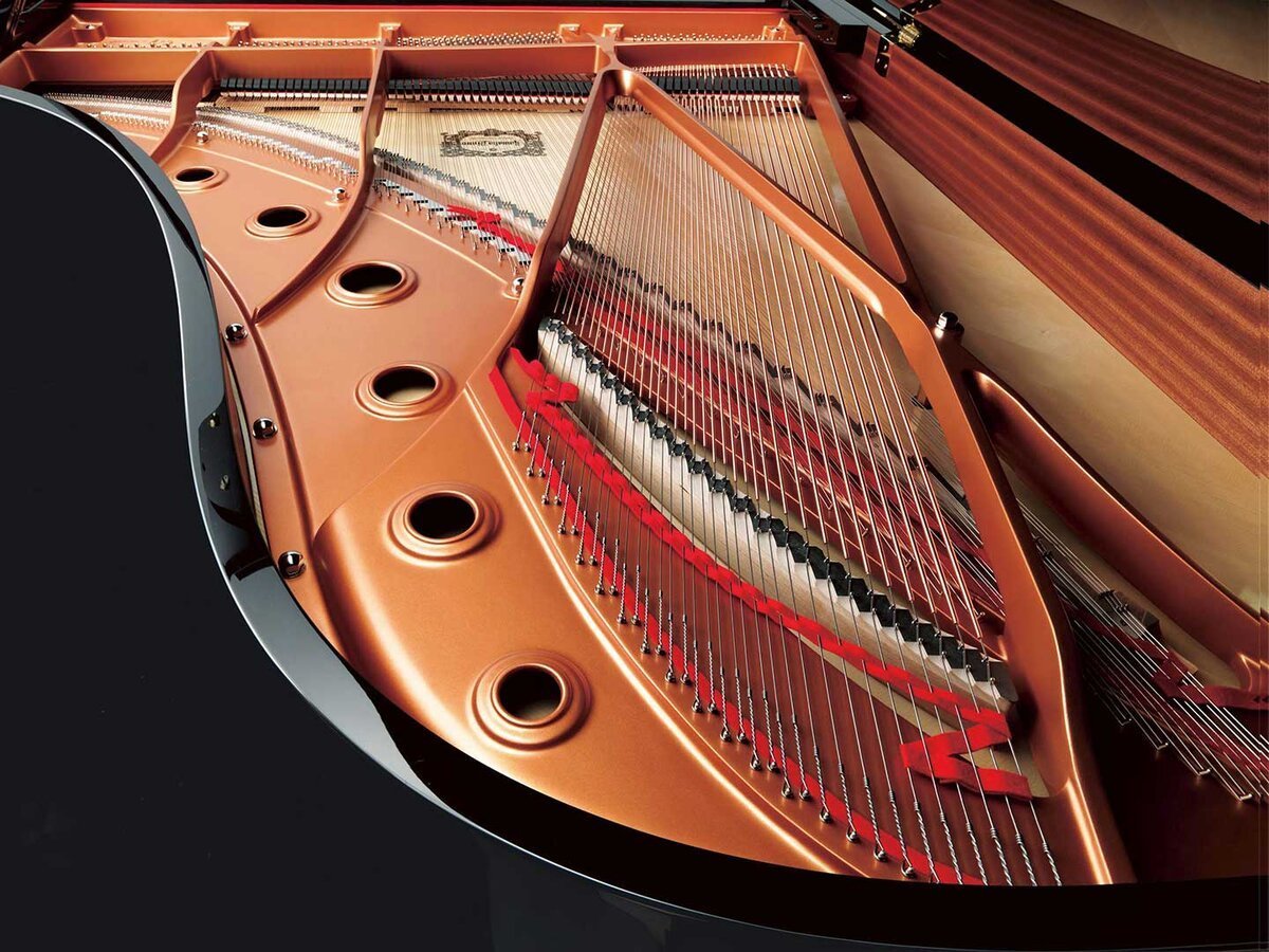 YAMAHA C3X (USED) - Góc nhìn thực tế 6