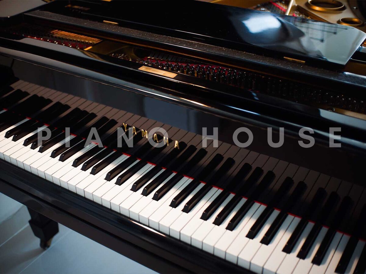 YAMAHA G1 PE - Góc nhìn thực tế 6